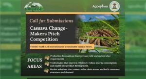 Cassava Changemakers Pitch Competition 2025 – Win up to ₦5 Million in Prizes