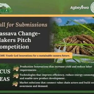 Cassava Changemakers Pitch Competition 2025 – Win up to ₦5 Million in Prizes