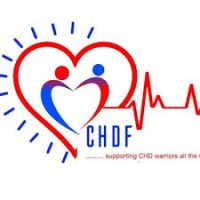 Policy and Advocacy Officer (Volunteer) at The Congenital Heart Disease Foundation of Nigeria (CHDF)