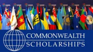 Apply for the Commonwealth Professional Fellowship 2026 