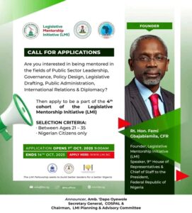 Shaping Nigeria’s Future: Apply for the Legislative Mentorship Initiative (LMI) 4th Cohort