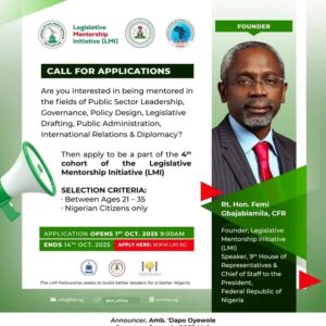 Shaping Nigeria’s Future: Apply for the Legislative Mentorship Initiative (LMI) 4th Cohort