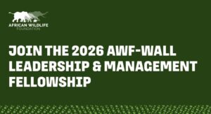 AWF-Wall Leadership & Management Fellowship 2026: Fully Funded to Nairobi